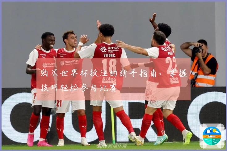 购买世界杯投注的新手指南，掌握技巧轻松参与比赛