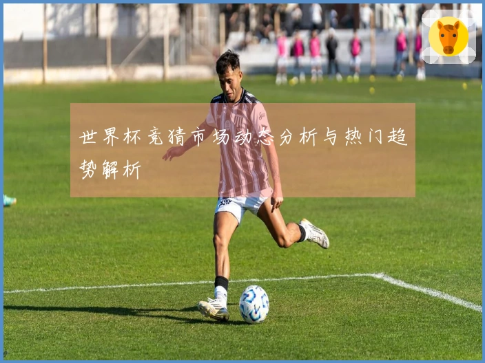 世界杯竞猜市场动态分析与热门趋势解析