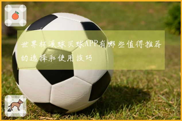 世界杯滚球买球APP有哪些值得推荐的选择和使用技巧