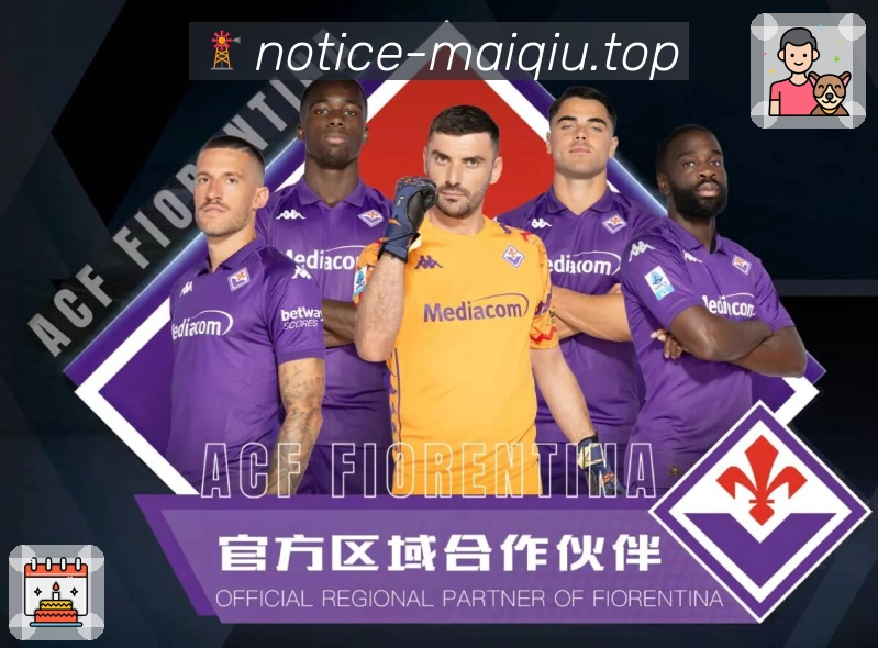 备用策略 - 线路检测与备用网址推荐